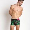 Мужские трусы Pink Hero черные с фламинго PH512-1