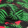Мужские трусы Pink Hero черные с фламинго PH512-1