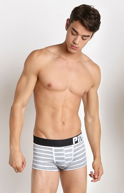 Мужские трусы Pink Hero серые в белую полоску PH1281-7