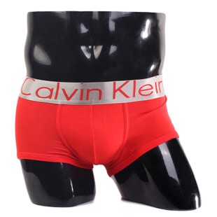 Calvin Klein Steel A008