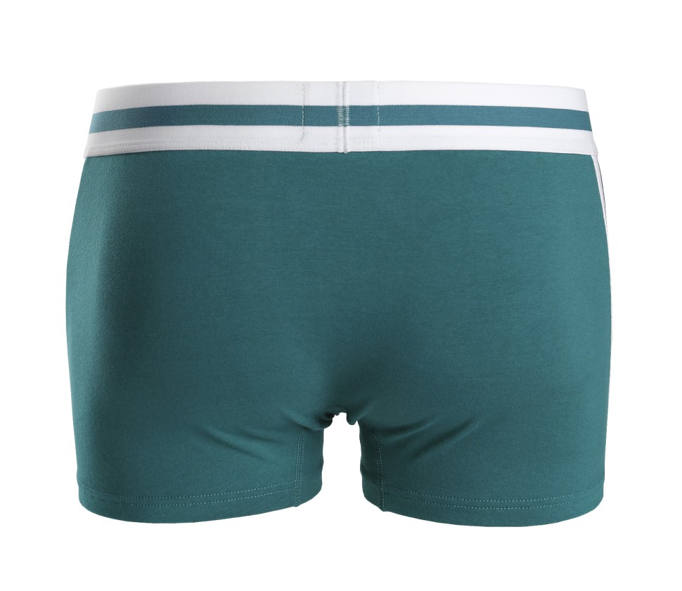 Мужские трусы Pink Hero зеленые с белой полосой PH525-3