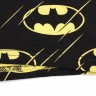Мужские трусы Pink Hero черные Batman PH1250-1