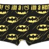 Мужские трусы Pink Hero черные Batman PH1250-1