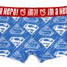 Мужские трусы Pink Hero голубые Superman PH1250-4